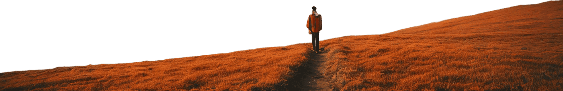 Explorer